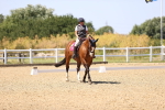 SBM_012239