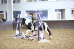 SBM_000175