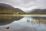 Reeds and Kilchurn Castle (1)