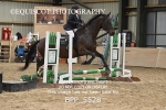 BPP_5528