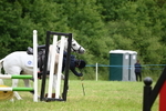 WJ6_5418