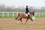 SBM_002841