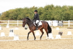 SBM_003615