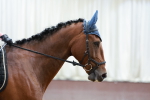 SBM_005609