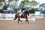 SBM_00466