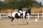 SBM_013662