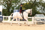 SBM_15922