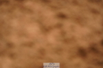 240526A-105330-07668