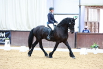 SBM_004168