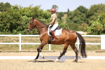 SBM_004876