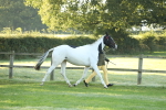 SBM_57917