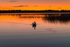 Swan at Portaneena