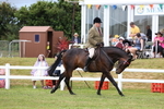 3E7A0929
