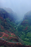 Mist descends, Waimea Canyon, Kauai