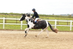 SBM_004256