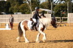 SBM_28336