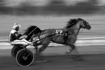 High Speed mono