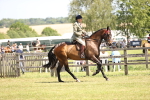 SBM_14881
