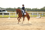 SBM_018323