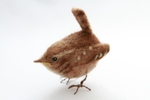 Wren