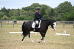 WJ6_9033
