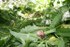 Insects _ AN 012