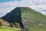 Ilam-420