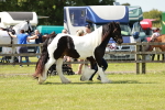 SBM_04307