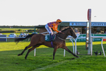 300926-Race 7-Prince Of Calypso-7082