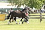 SBM_02343