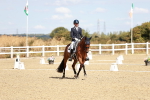 SBM_008881