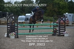 BPP_0903