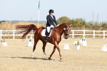 SBM_017017