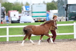 SBM_05882
