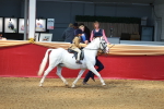 SBM_12747