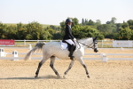 SBM_002958