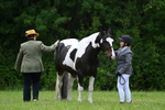 WJ7_4158