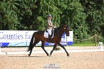 Cls 4 Novice Gold portfolio