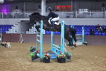 SBM_009172