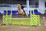 SBM_002551