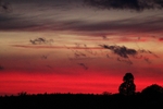 Shepherds Delight