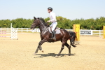 SBM_001464