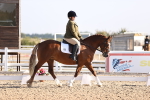 SBM_01645