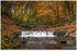 The Crossing, Tollymore (IMG1105)