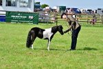 SBM_03617