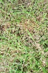 SBM_12212