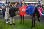 210826-Race 1-Blue Courvoisier-8815