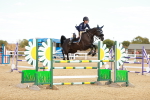 SBM_007442