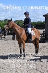 BPP_3393