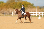 SBM_009281